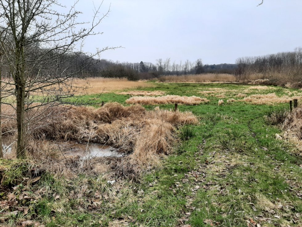 Wandeling landgoed Nemelaer